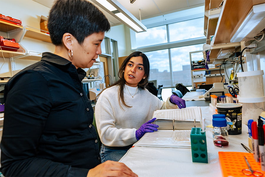 Professor Schiffer and student work in lab.