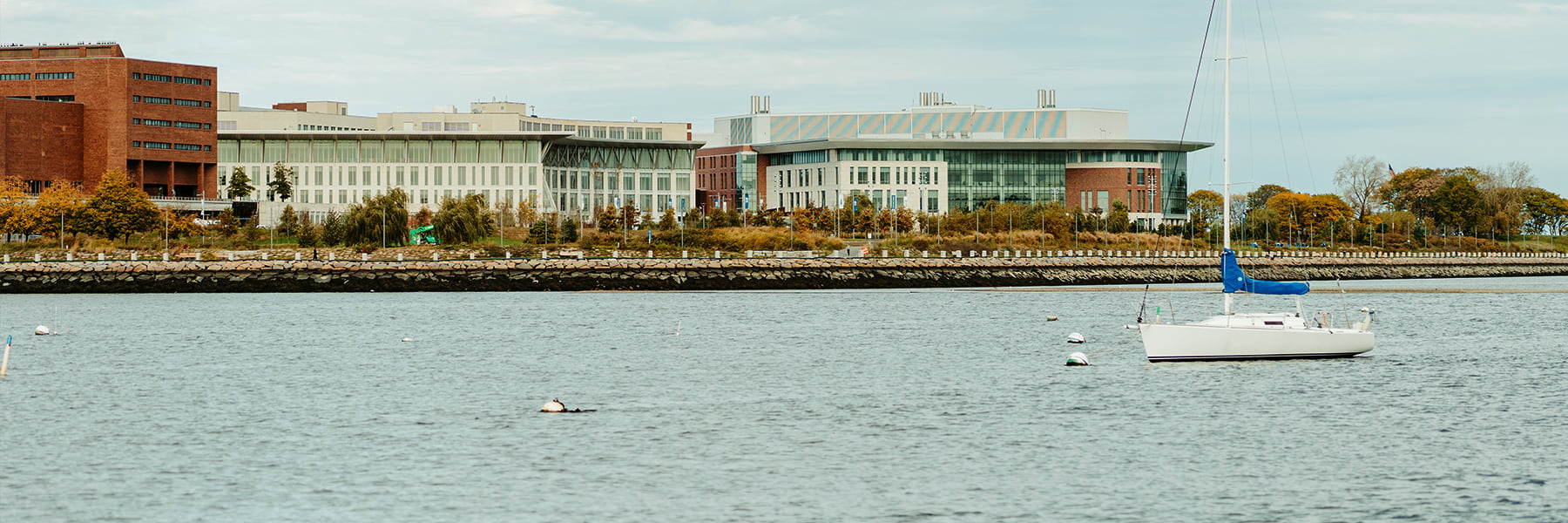 View of campus from water.