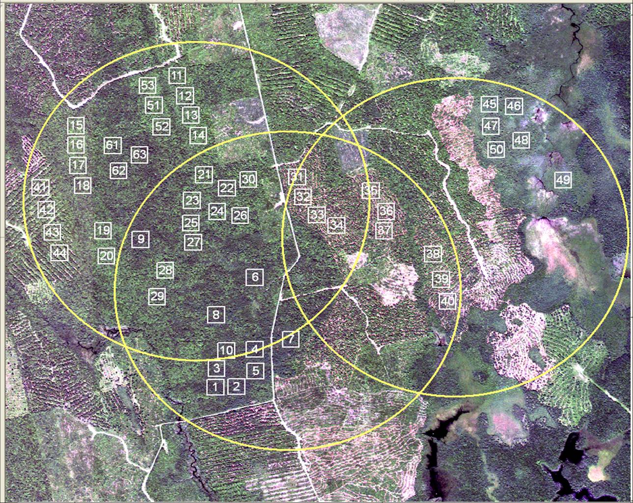 Howard LVIS Footprint